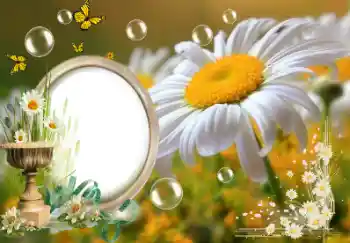 Foto Effekt från kategori Sommar № 153157