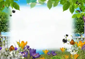 Foto Effekt från kategori Sommar № 153205