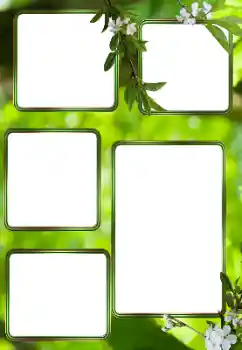 Foto Effekt från kategori Sommar № 153242