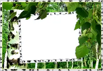 Foto Effekt från kategori Sommar № 154334