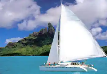 Foto Effekt från kategori Sommar № 1553