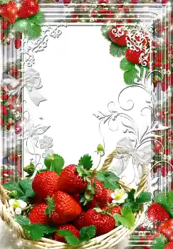 Foto Effekt från kategori Sommar № 1557