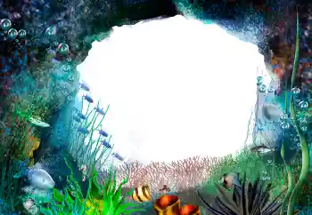 Foto Effekt från kategori Sommar № 155944