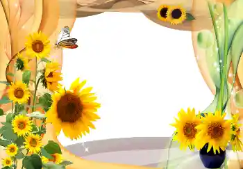 Foto Effekt från kategori Sommar № 1566