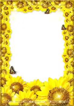 Foto Effekt från kategori Sommar № 1571