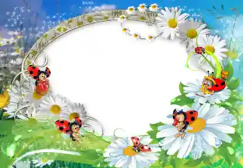 Foto Effekt från kategori Sommar № 1572