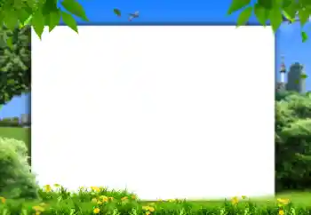 Foto Effekt från kategori Sommar № 158421