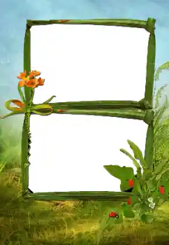 Foto Effekt från kategori Sommar № 160630