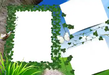 Foto Effekt från kategori Sommar № 160662