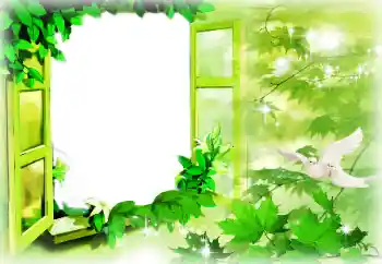 Foto Effekt från kategori Sommar № 164788