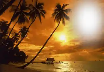 Foto Effekt från kategori Sommar № 164793