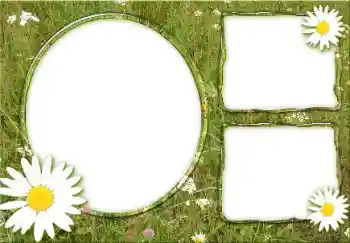 Foto Effekt från kategori Sommar № 166475 Foto Effekt från kategori Sommar № 166475