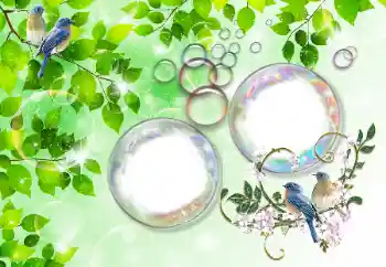 Foto Effekt från kategori Sommar № 167832 Foto Effekt från kategori Sommar № 167832