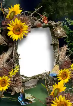 Foto Effekt från kategori Sommar № 167902 Foto Effekt från kategori Sommar № 167902