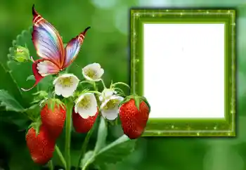 Foto Effekt från kategori Sommar № 168002 Foto Effekt från kategori Sommar № 168002