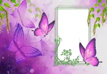 Foto Effekt från kategori Sommar № 179562 Foto Effekt från kategori Sommar № 179562