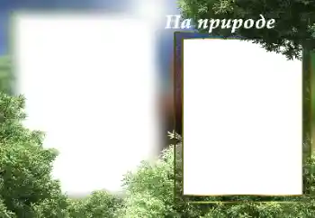 Inskriptionen på ramen: On the nature Inskriptionen på ramen: On the nature