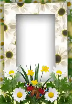 Foto Effekt från kategori Sommar № 19247