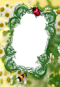 Foto Effekt från kategori Sommar № 2253