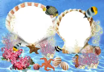 Foto Effekt från kategori Sommar № 23210