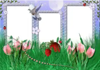 Foto Effekt från kategori Sommar № 2396