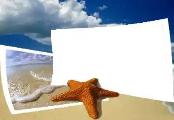 Foto Effekt från kategori Sommar № 25435