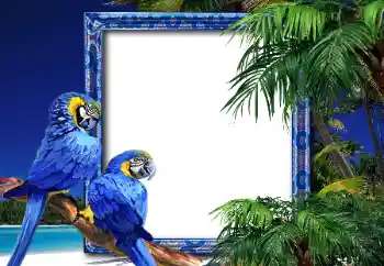 Foto Effekt från kategori Sommar № 26552