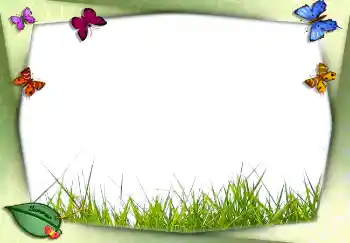 Foto Effekt från kategori Sommar № 2756 Foto Effekt från kategori Sommar № 2756