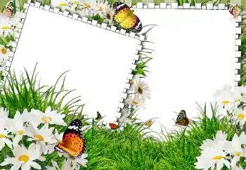 Foto Effekt från kategori Sommar № 31861