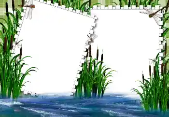 Foto Effekt från kategori Sommar № 31862