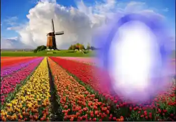 Foto Effekt från kategori Sommar № 36251