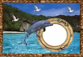 Foto Effekt från kategori Sommar № 38477