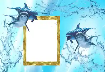 Foto Effekt från kategori Sommar № 38603