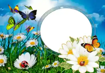 Foto Effekt från kategori Sommar № 40377