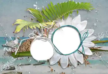 Foto Effekt från kategori Sommar № 47208