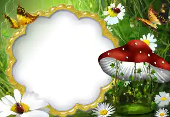 Foto Effekt från kategori Sommar № 5072