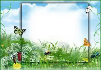 Foto Effekt från kategori Sommar № 50891