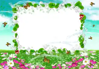 Foto Effekt från kategori Sommar № 50894