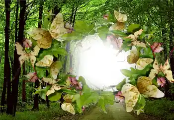 Foto Effekt från kategori Sommar № 5287