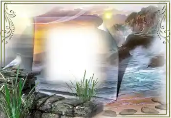 Foto Effekt från kategori Sommar № 53307