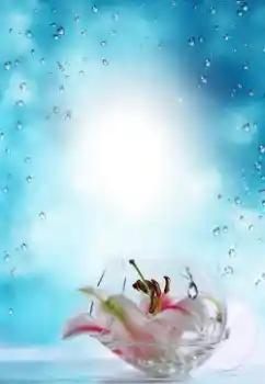 Foto Effekt från kategori Sommar № 64487