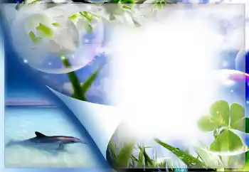 Foto Effekt från kategori Sommar № 67330