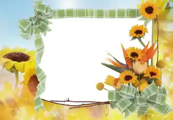 Foto Effekt från kategori Sommar № 68445