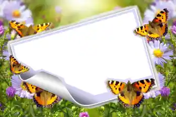 Foto Effekt från kategori Sommar № 83943