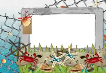 Foto Effekt från kategori Sommar № 85339