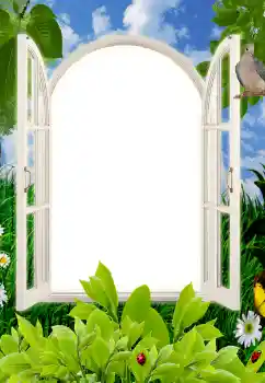 Foto Effekt från kategori Sommar № 85496