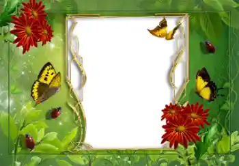 Foto Effekt från kategori Sommar № 8625 Foto Effekt från kategori Sommar № 8625