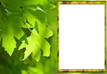 Foto Effekt från kategori Sommar № 88033