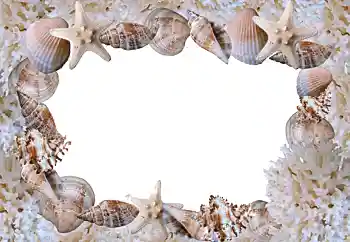 Foto Effekt från kategori Sommar № 88088 Foto Effekt från kategori Sommar № 88088