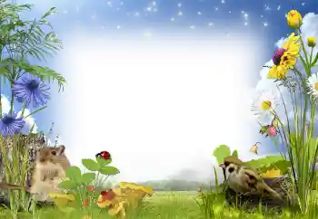 Foto Effekt från kategori Sommar № 97486 Foto Effekt från kategori Sommar № 97486